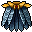 Calopteryx Cape