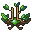 Leaf Crown