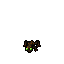 Bog Frog