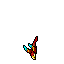 Cave Parrot