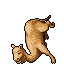 Dromedary