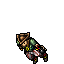 Pirate Buccaneer