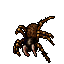 Tarantula