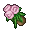 God Flowers